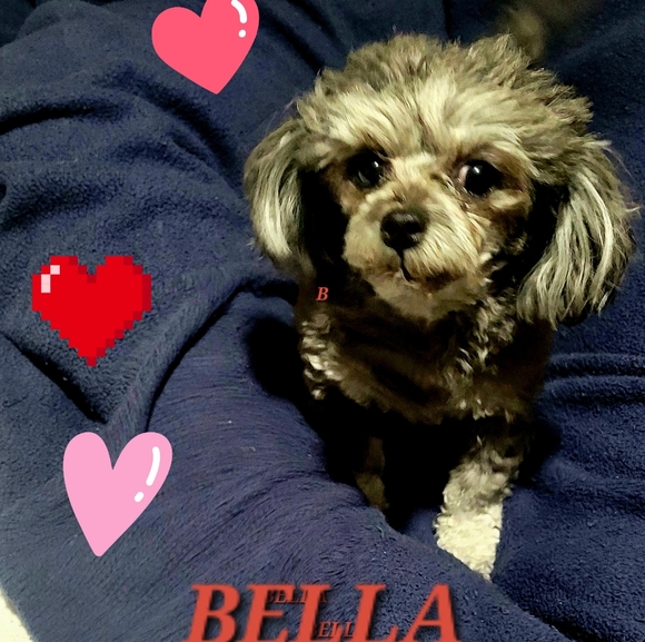 I donate to causes for children & women, gift unwanted & no Posh Shows - Picture 7 of 8